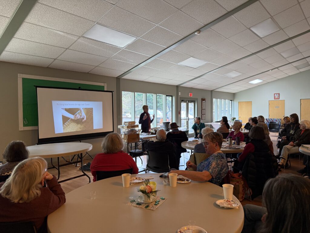 Tea Discovery Class